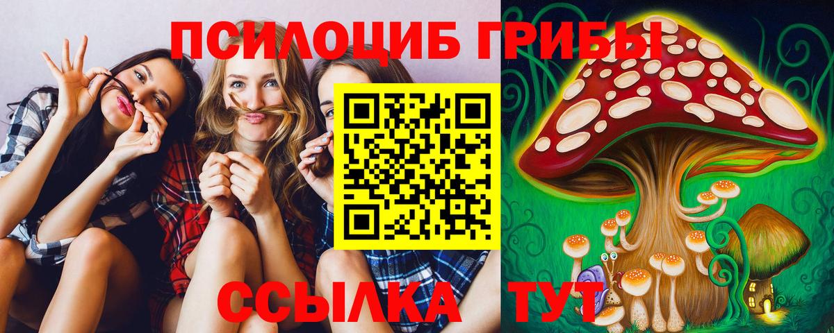 Галлюциногенные грибы Magic Shrooms  Вход с VPN  хочу наркоту  Барнаул 