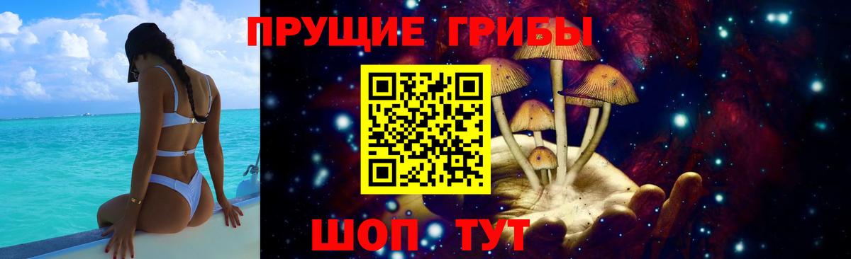 Псилоцибиновые грибы Psilocybine cubensis Барнаул